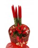 Saksıda Kırmızı Sansevieria Aranjmanı